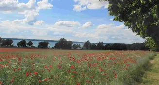 von_poll_real_estate_property_25086015_image_16