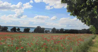 von_poll_real_estate_property_25086015_image_16