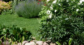 von_poll_real_estate_property_26086002_image_27