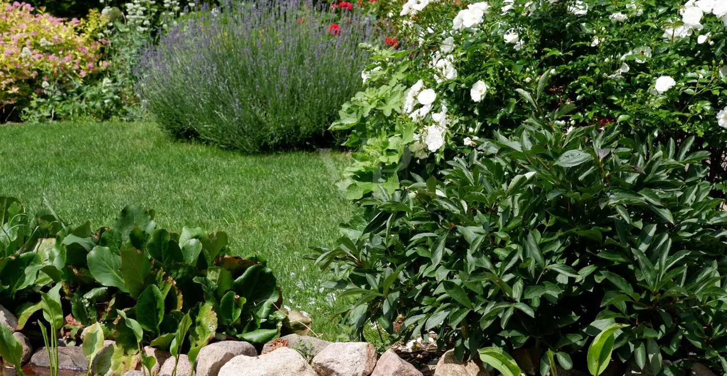 Geräumige Doppelhaushälfte in ruhiger Lage Nähe Schweriner See