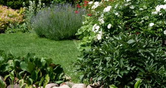 von_poll_real_estate_property_26086002_image_27