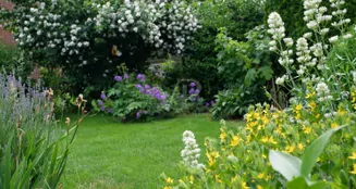 von_poll_real_estate_property_26086002_image_32