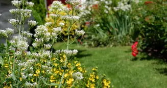 von_poll_real_estate_property_26086002_image_25