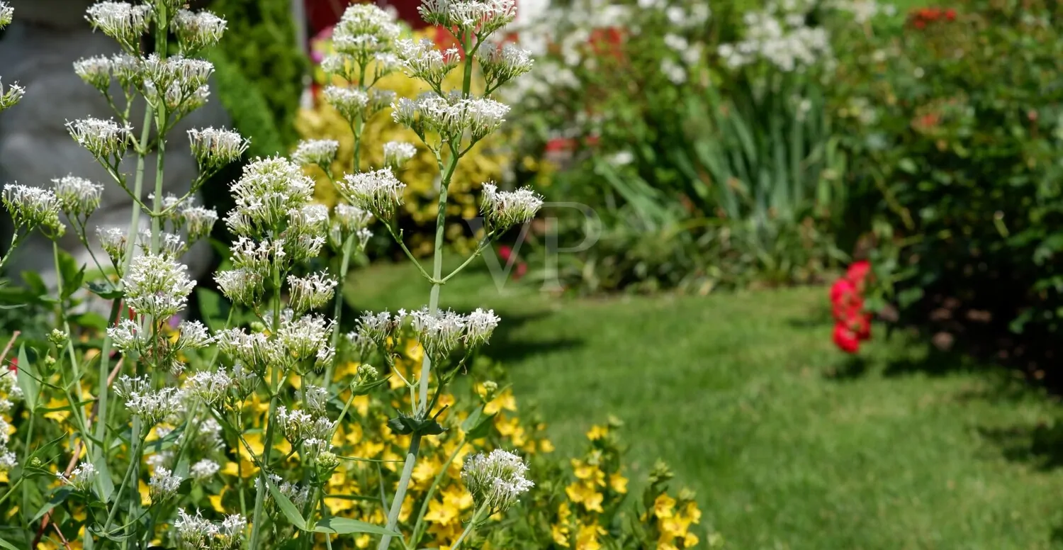 Geräumige Doppelhaushälfte in ruhiger Lage Nähe Schweriner See
