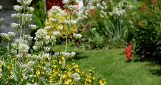 von_poll_real_estate_property_26086002_image_25