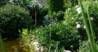 von_poll_real_estate_property_26086002_image_29