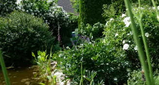 von_poll_real_estate_property_26086002_image_29