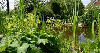 von_poll_real_estate_property_26086002_image_30