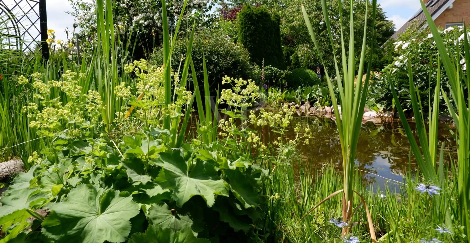 Geräumige Doppelhaushälfte in ruhiger Lage Nähe Schweriner See