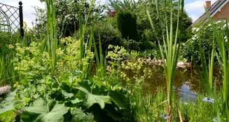 von_poll_real_estate_property_26086002_image_30