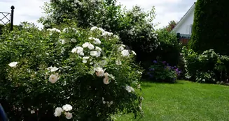 von_poll_real_estate_property_26086002_image_28