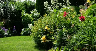 von_poll_real_estate_property_26086002_image_26