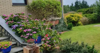 von_poll_real_estate_property_26086004_image_3