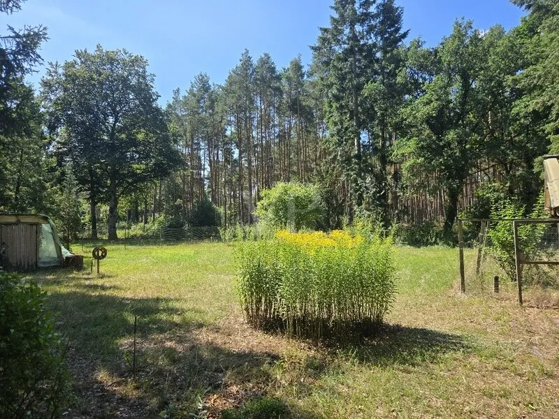 Grundstück