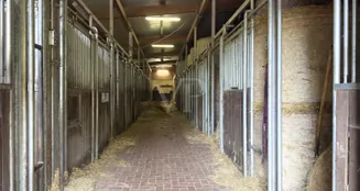 von_poll_real_estate_property_25026054_image_21