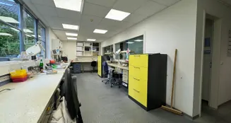 von_poll_real_estate_property_24026049B_image_18