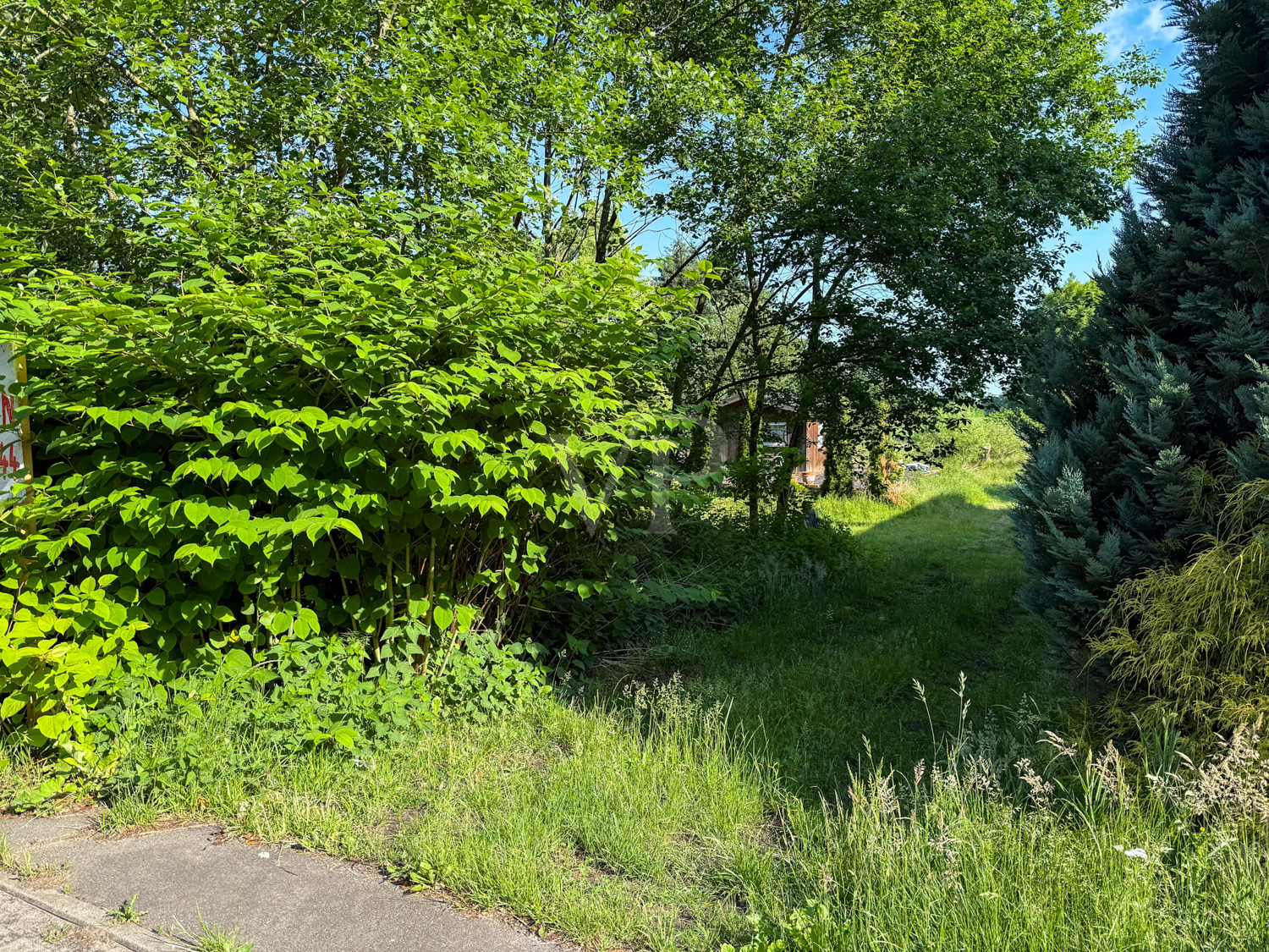 Einfahrt (Straßenansicht)