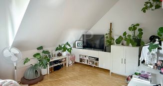 von_poll_real_estate_property_25026038_image_6