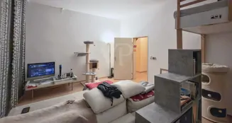 von_poll_real_estate_property_25026050_image_12