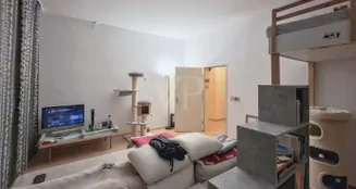 von_poll_real_estate_property_25026050_image_12