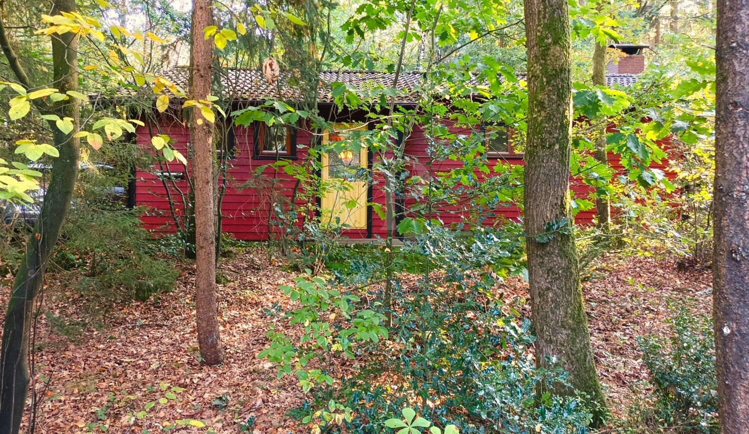Ihr Ferienparadies im Wald