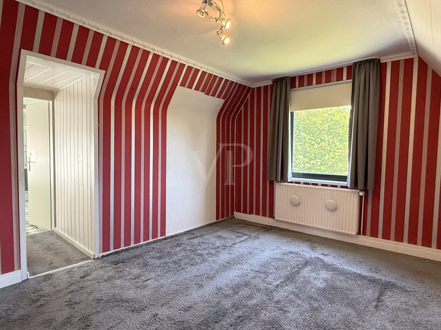 Zimmer DG