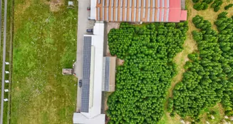 von_poll_real_estate_property_25026043z_image_3