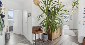 von_poll_real_estate_property_25026063_image_15