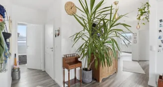 von_poll_real_estate_property_25026063_image_15