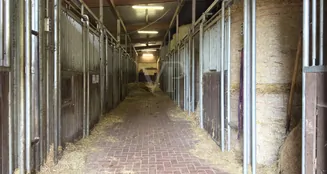 von_poll_real_estate_property_25026054g_image_8