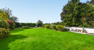 von_poll_real_estate_property_25013171_image_8