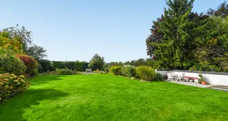 von_poll_real_estate_property_25013171_image_6