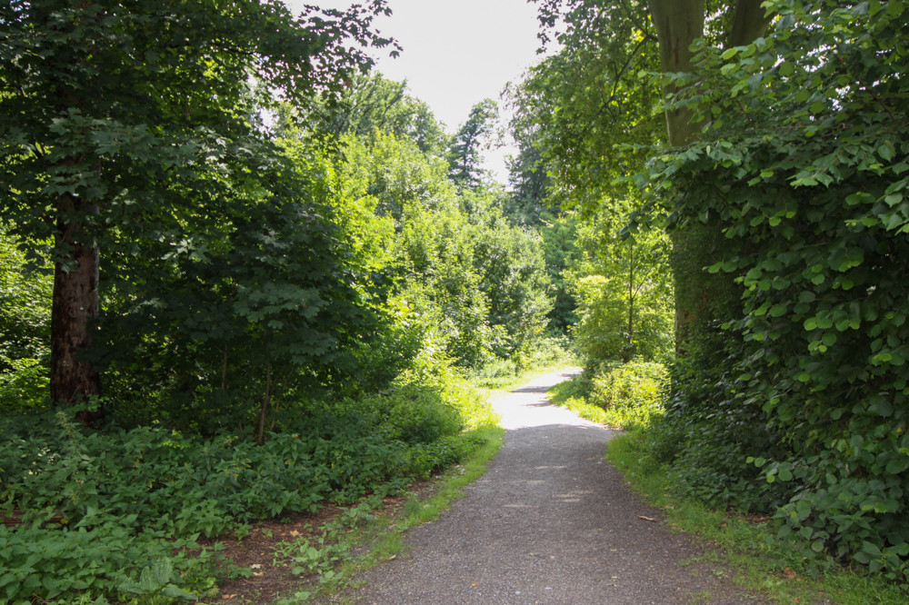 Eingang Grafenberger Wald