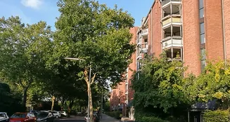 von_poll_real_estate_property_25013228_image_16