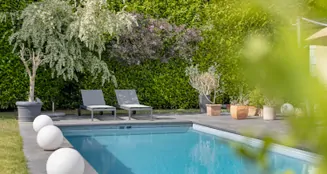 von_poll_real_estate_property_25013082_image_36