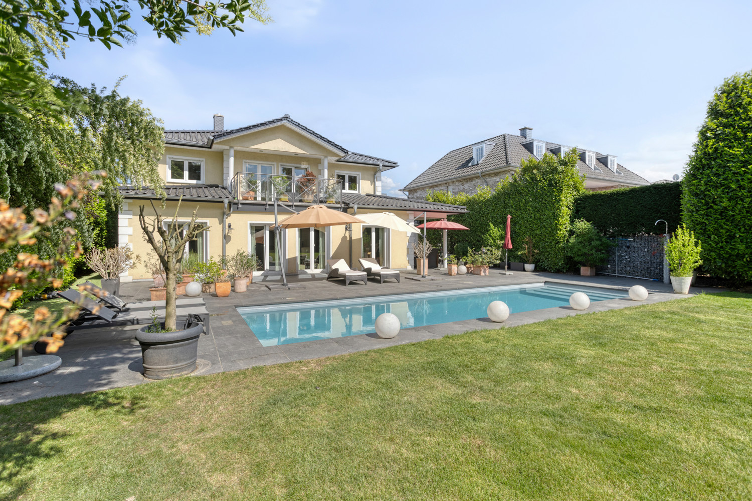 Bild vom Garten