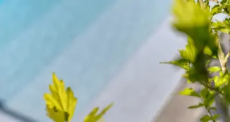 von_poll_real_estate_property_25013082_image_44