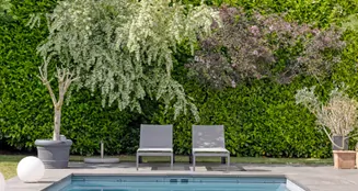 von_poll_real_estate_property_25013082_image_45