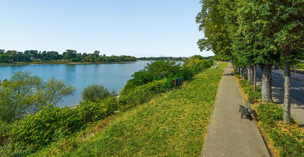 Rheinblick