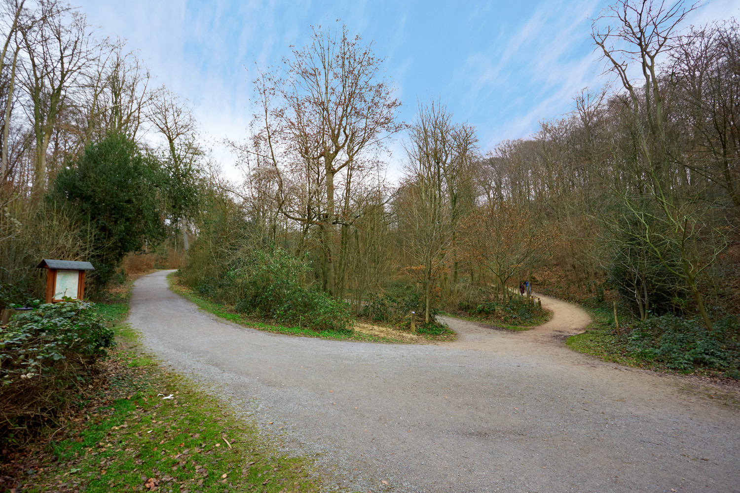 Zugang zum Grafenberger Wald