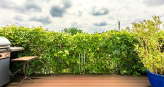 von_poll_real_estate_property_25013084_image_11