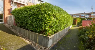 von_poll_real_estate_property_25013200_image_27