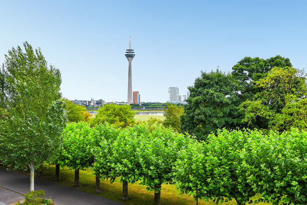 Ausblick Rheinallee