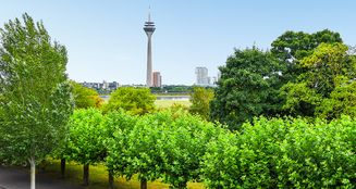 von_poll_real_estate_property_25013131_image_32