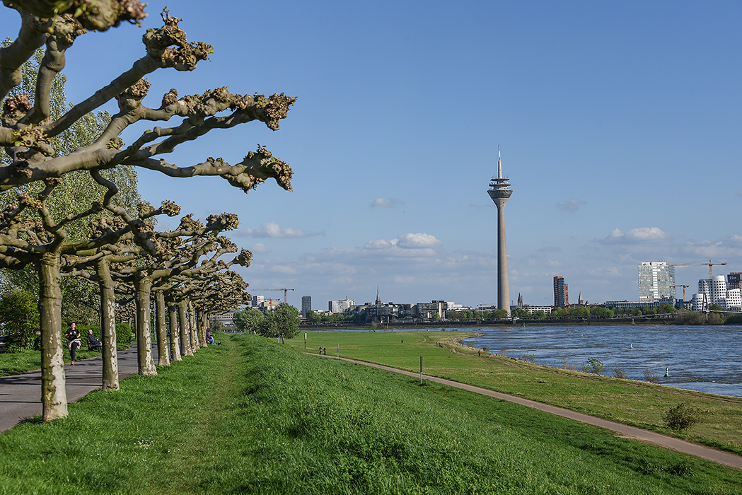 Ausblick Rheinallee