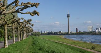 von_poll_real_estate_property_25013131_image_33