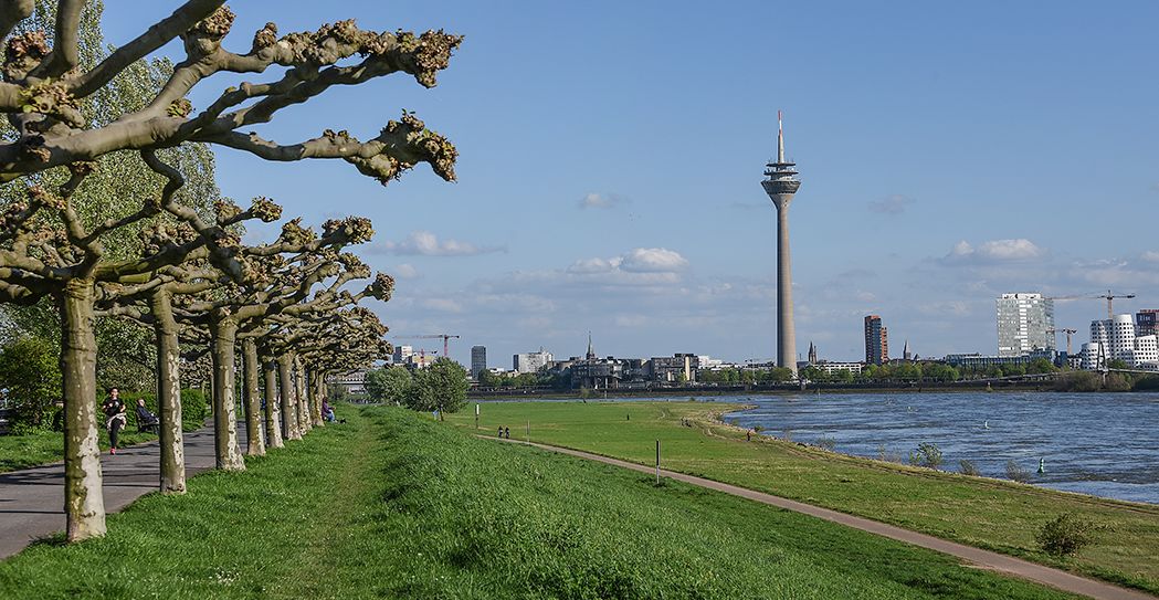 Ausblick Rheinallee