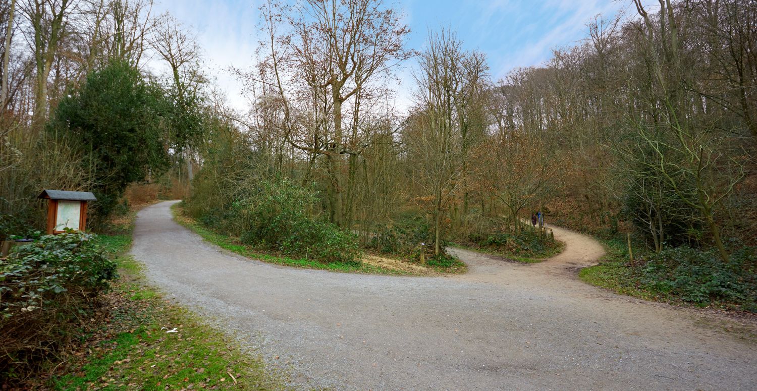 Zugang zum Grafenberger Wald