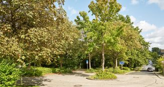 von_poll_real_estate_property_25013152_image_21