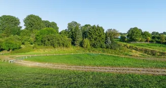 von_poll_real_estate_property_25013147_image_33